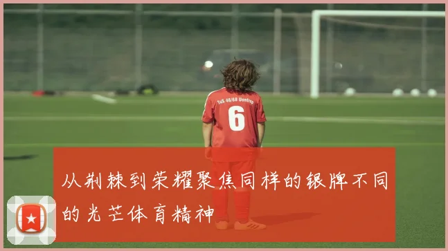 从荆棘到荣耀聚焦同样的银牌不同的光芒体育精神