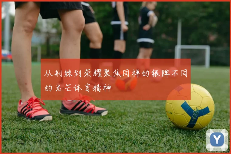 从荆棘到荣耀聚焦同样的银牌不同的光芒体育精神