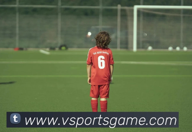 vsports体育APP 高清赛事图