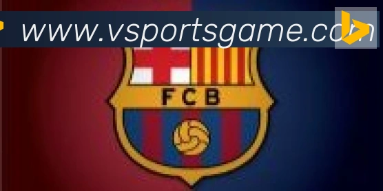 vsports体育合作伙伴