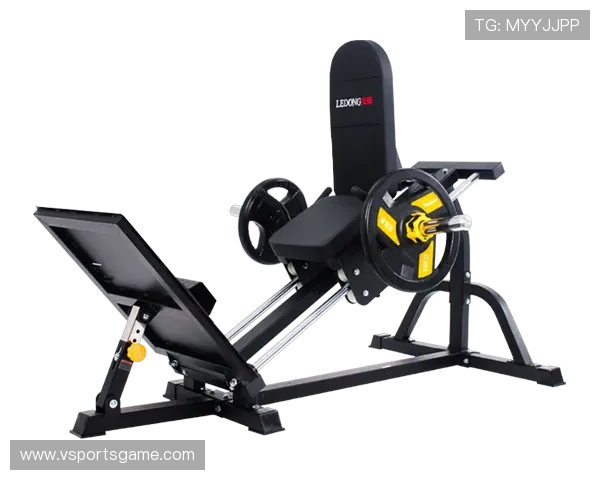 广州力型健身器材品牌特点与运动性能介绍